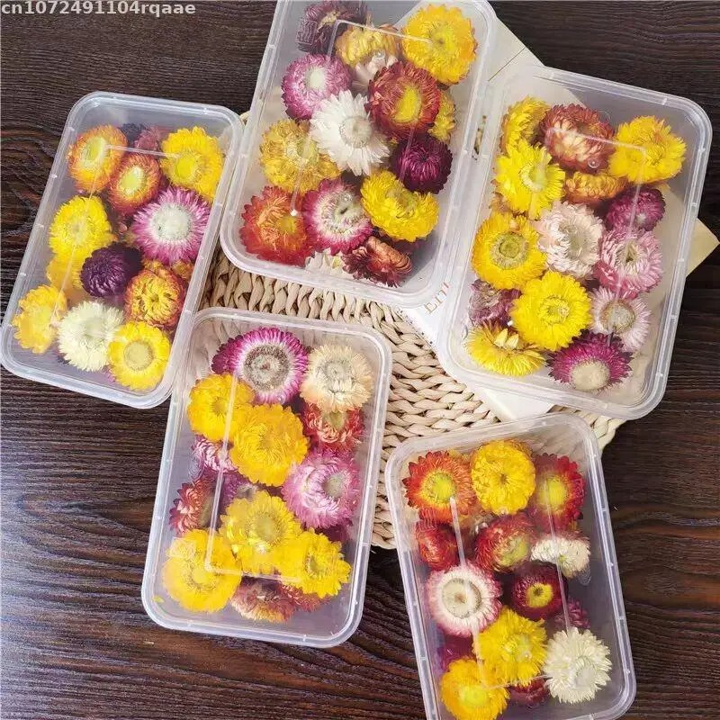 %100 Doğal Kurutulmuş Çiçekler - Candle Making Material Wholesale incelemesi ve fiyatı